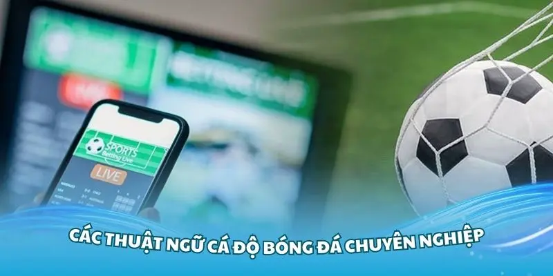 Nắm vững các thuật ngữ cá độ bóng đá cơ bản trong kèo chấp